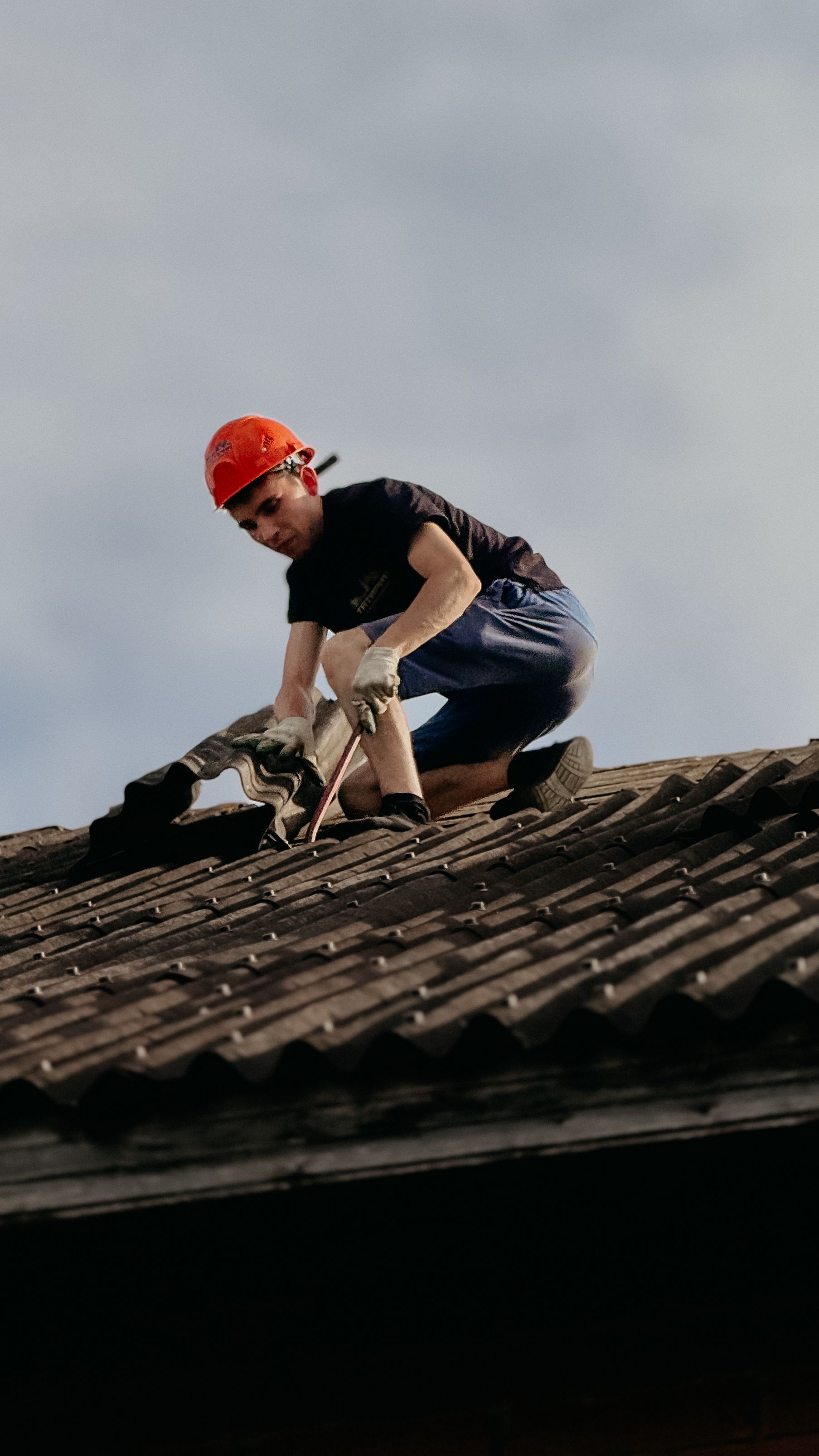 Roof maintenance service